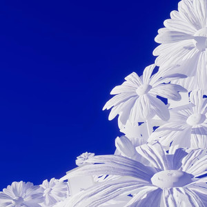 国产Sm虐乳针扎进奶孔
